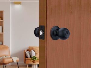godrej cylinder lock