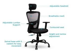 furlenco | moreno study table with premium office chair