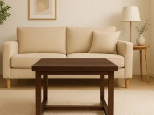 rentomojo | mocha centre table (copy)