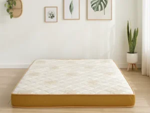 rentomojo | queen coir & foam mattress (copy)
