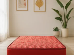 rentomojo | king foam mattress (copy)