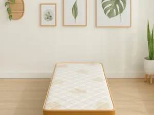 rentomojo | single xl coir & foam mattress (copy)