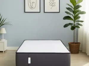 rentomojo | set of 2 single xl ortho mattress (copy)