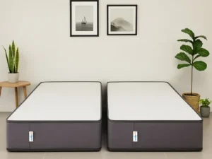 rentomojo | single xl ortho pocket spring mattress (copy)