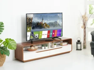 rentomojo | smart led tv 49"