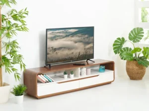 rentomojo | smart led tv 49" (copy)
