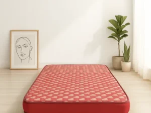 rentomojo | single foam mattress (copy)